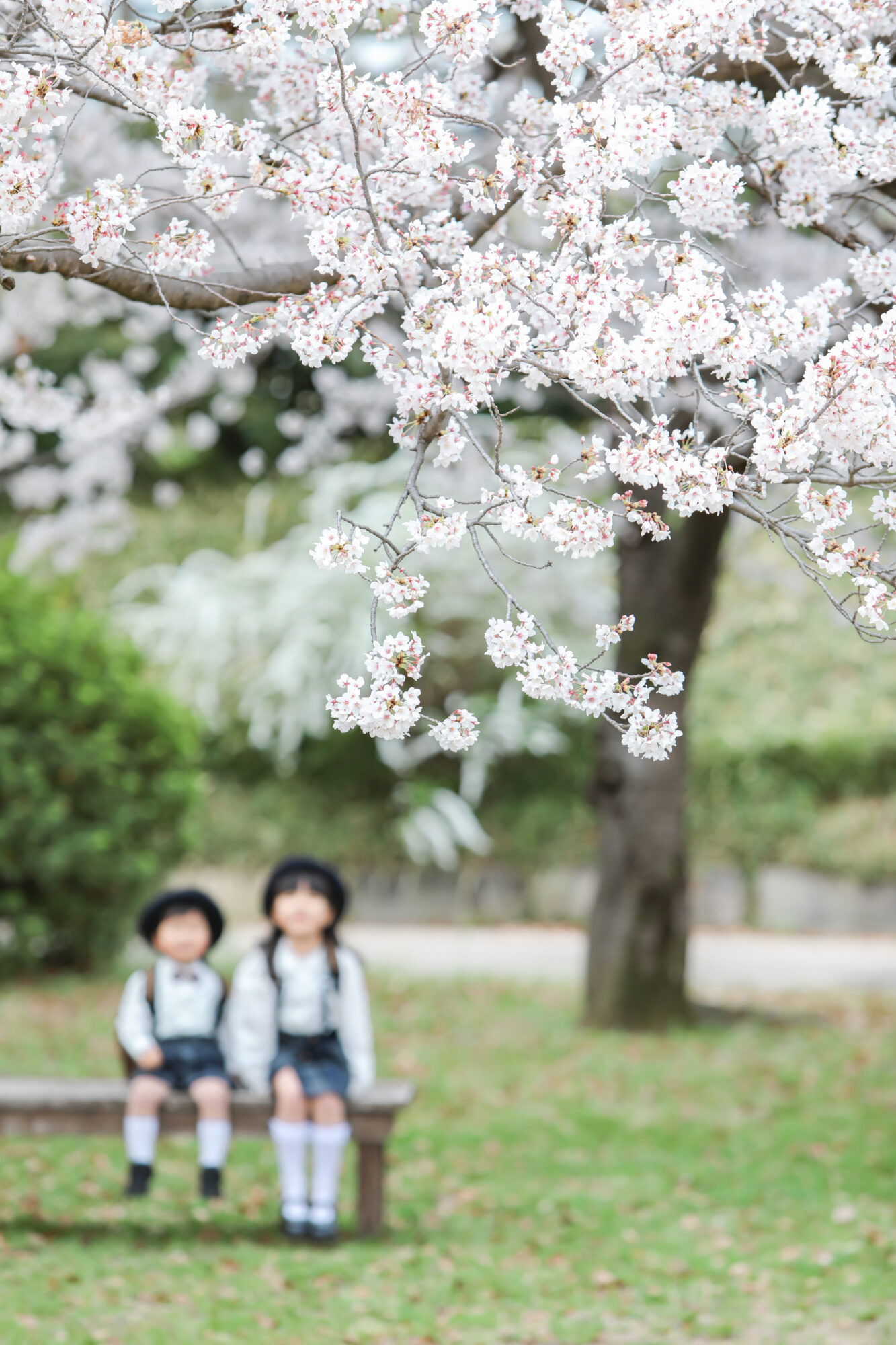 Reico photolife ロケーション撮影　出張撮影　入学撮影　桜撮影