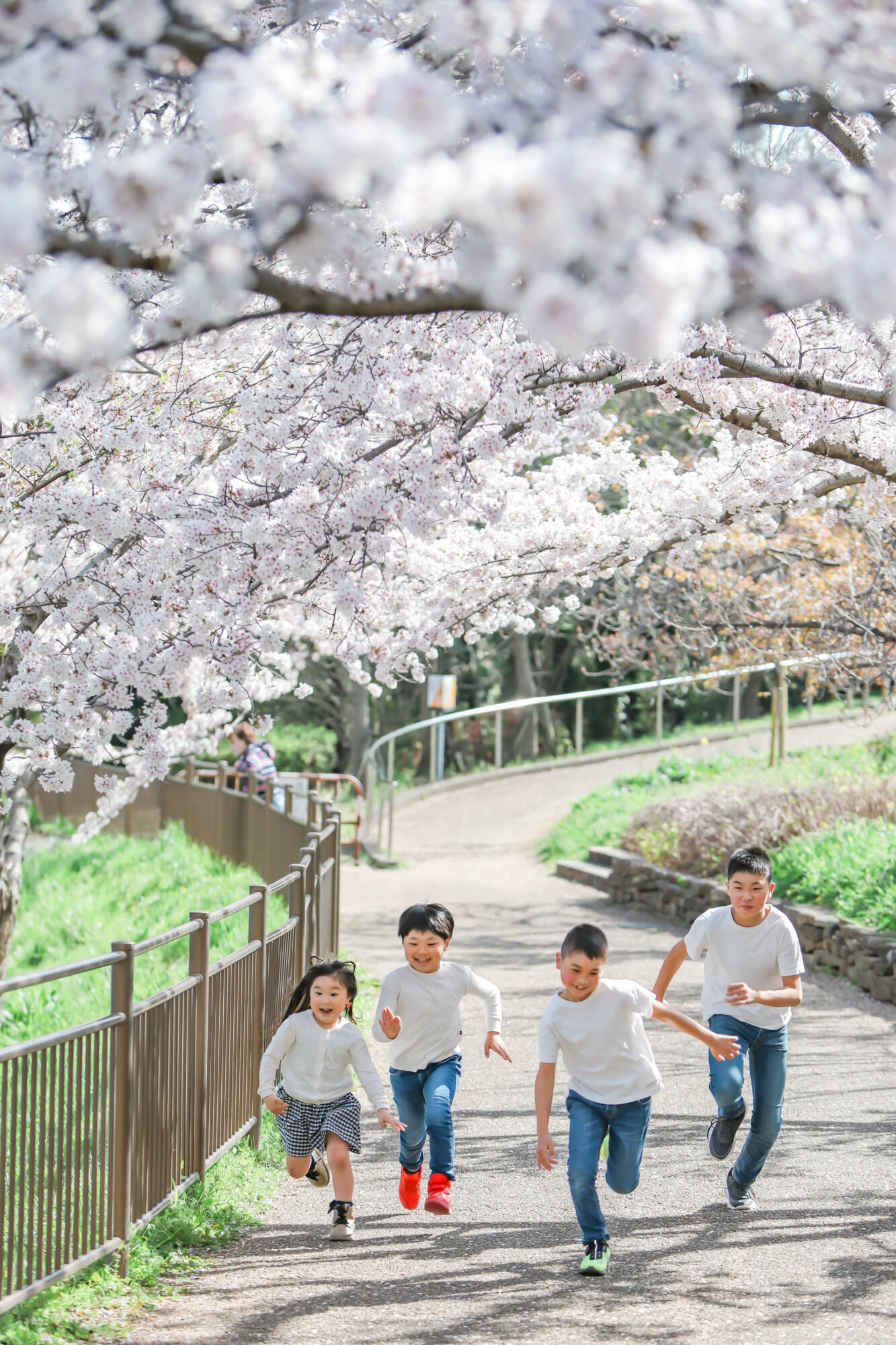 Reico photolife ロケーション撮影　出張撮影　入学撮影　桜撮影