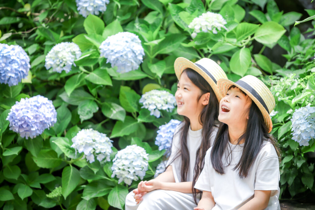 Reico photolife ロケーション撮影 出張撮影 紫陽花撮影 カメラマン レイコフォトライフ 家族写真