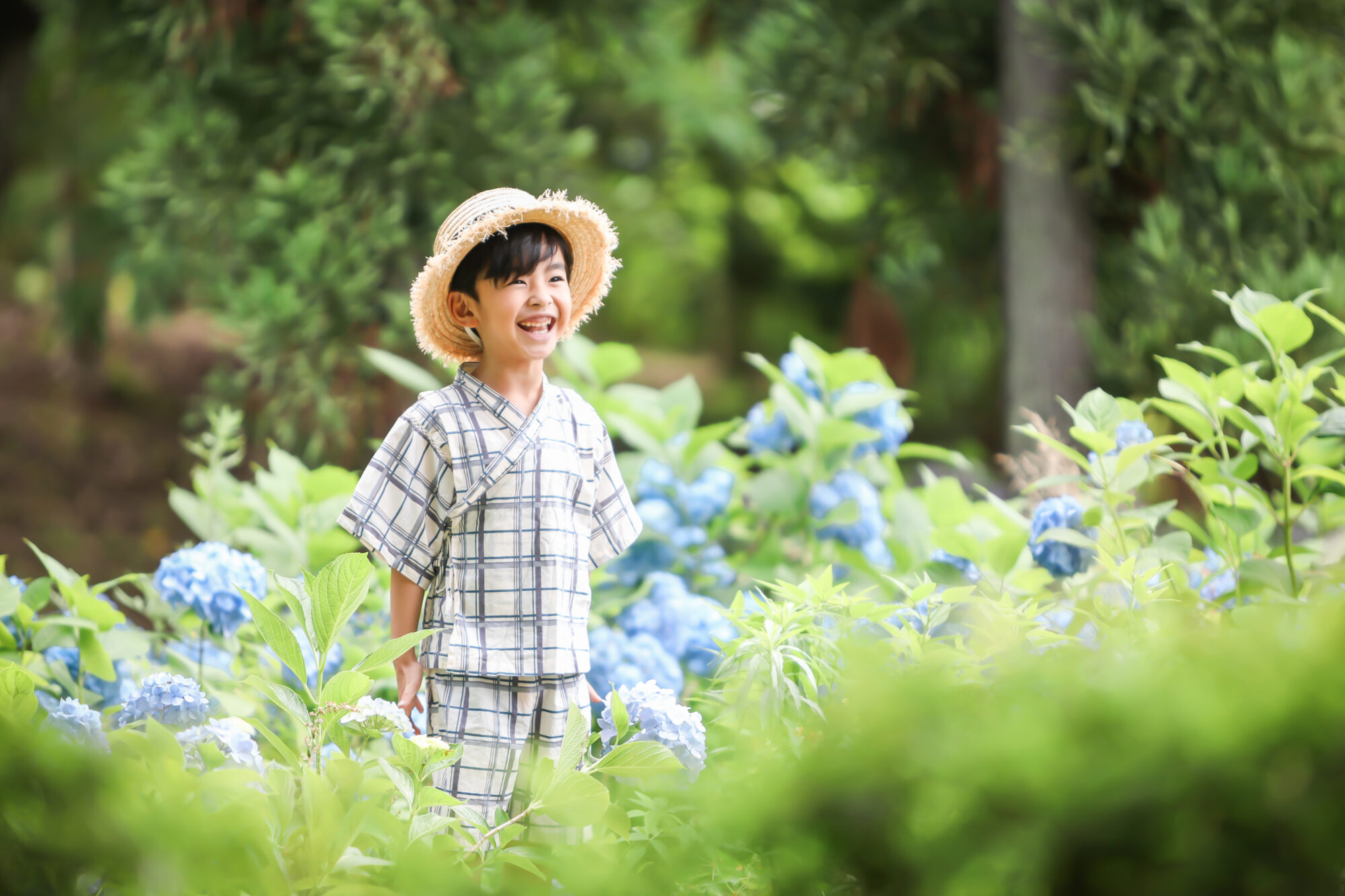 Reico photolife ロケーション撮影　出張撮影　紫陽花撮影