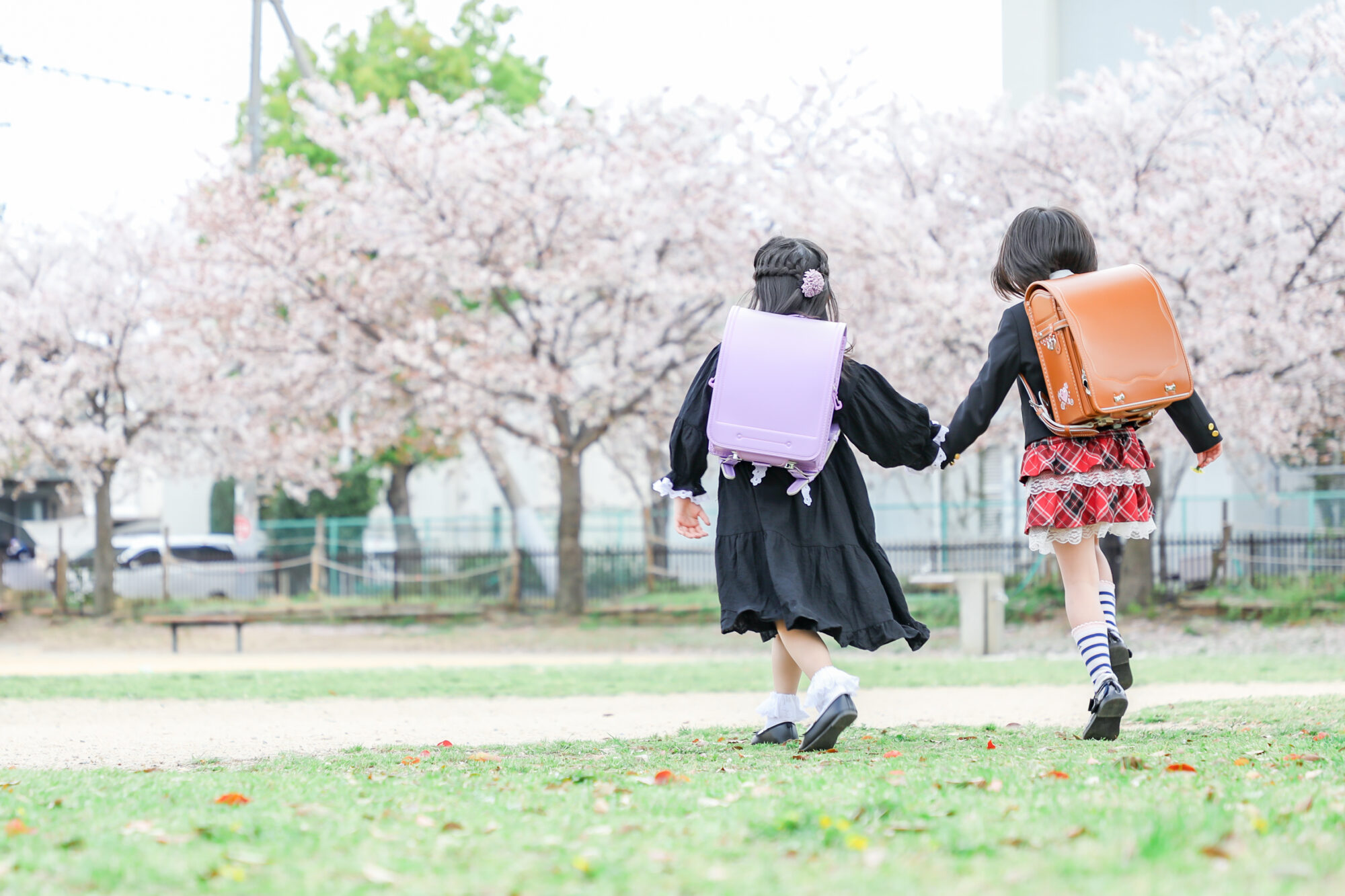 Reico photolife ロケーション撮影　出張撮影　入学撮影　桜撮影