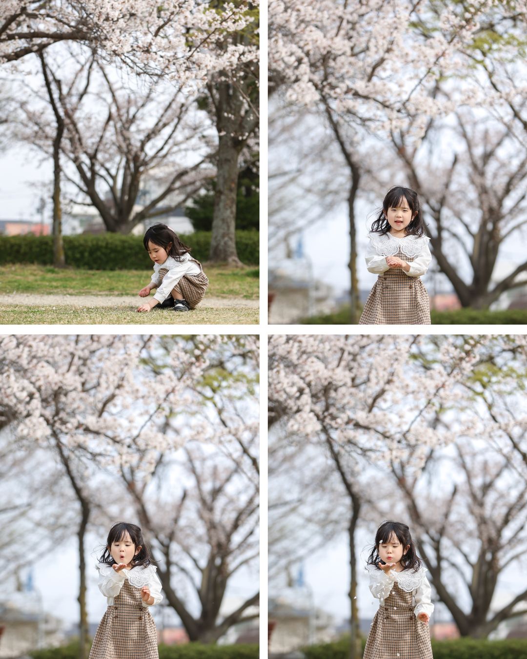 Reico photolife 伊丹市 出張撮影カメラマン ロケーション撮影 ファミリーフォト 入学撮影 レイコフォトライフ 家族写真 桜撮影 ランドセル