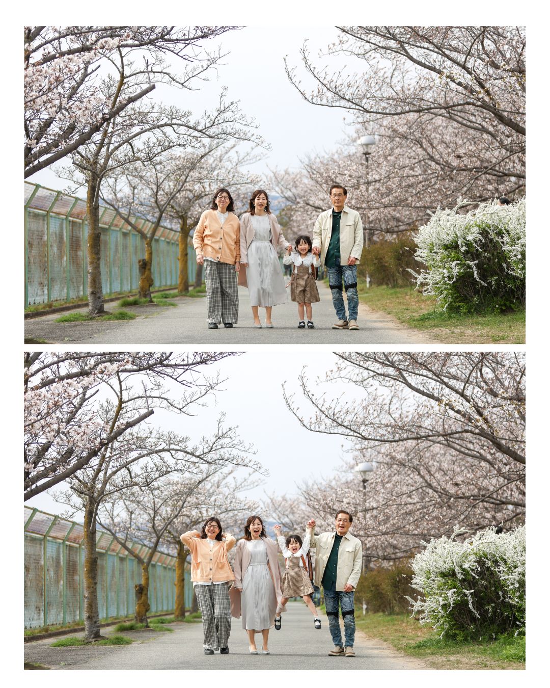 Reico photolife 伊丹市 出張撮影カメラマン ロケーション撮影 ファミリーフォト 入学撮影 レイコフォトライフ 家族写真 桜撮影 ランドセル