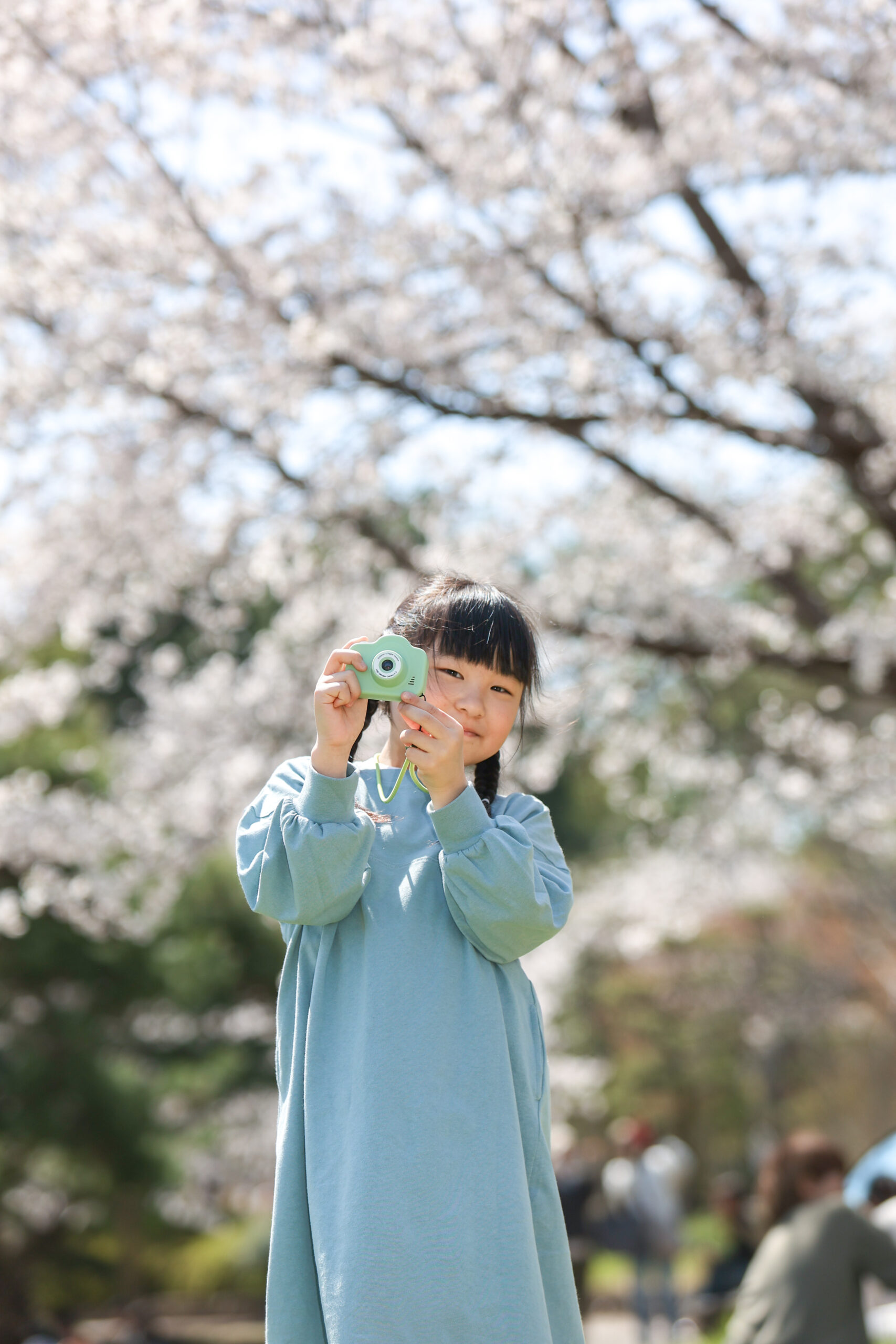 Reico photolife 伊丹市 出張撮影カメラマン ロケーション撮影 ファミリーフォト 入学撮影 レイコフォトライフ 家族写真 桜撮影 ランドセル