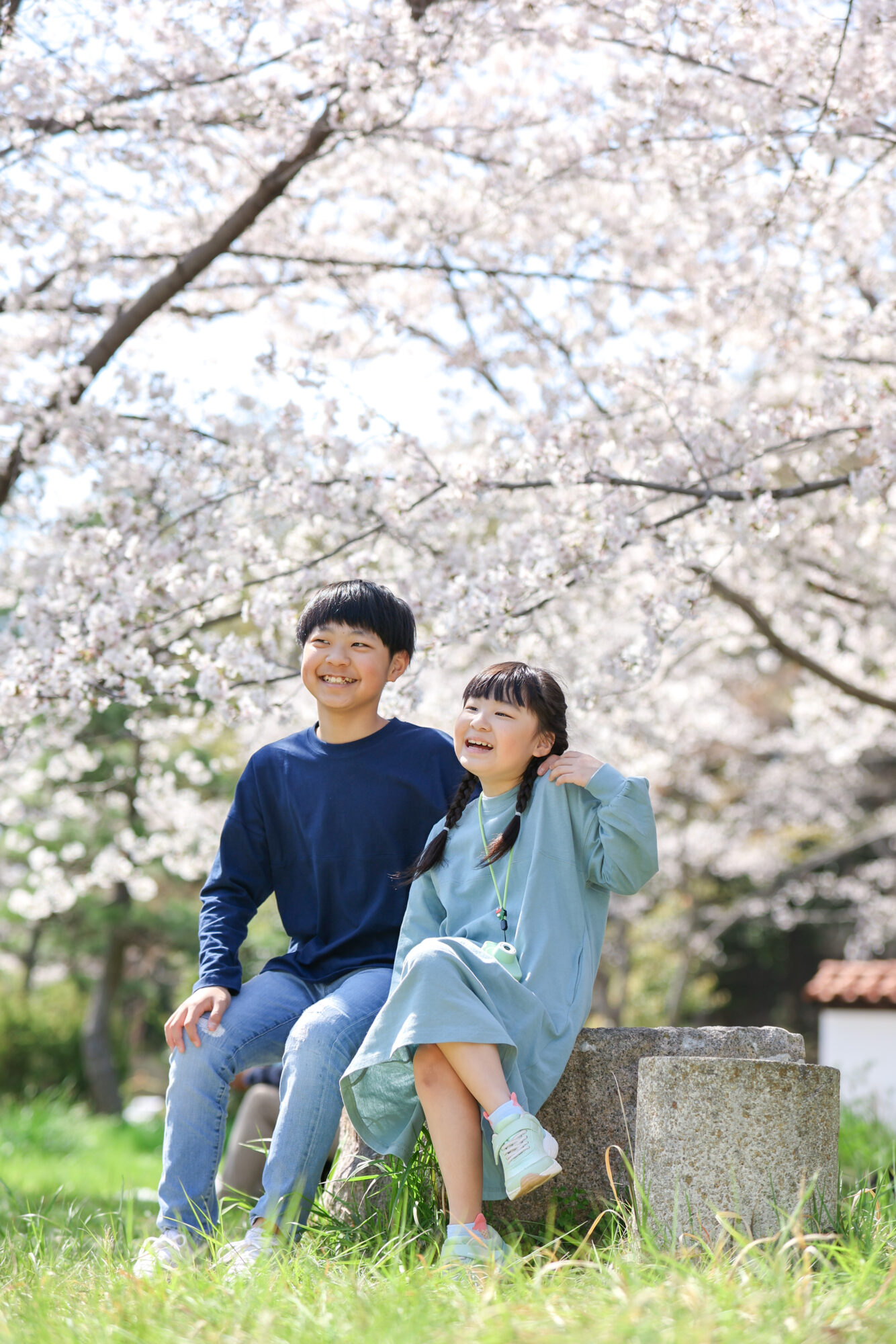 Reico photolife 伊丹市　出張撮影カメラマン　ロケーション撮影　ファミリーフォト　入学撮影　レイコフォトライフ　家族写真　桜撮影　ランドセル