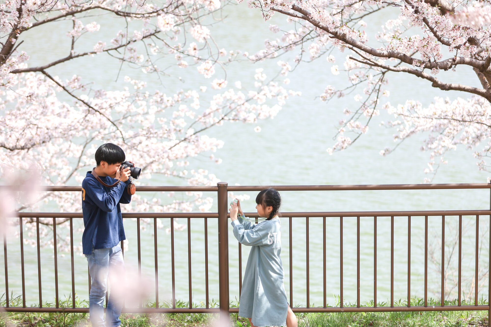 Reico photolife 伊丹市　出張撮影カメラマン　ロケーション撮影　ファミリーフォト　入学撮影　レイコフォトライフ　家族写真　桜撮影　ランドセル