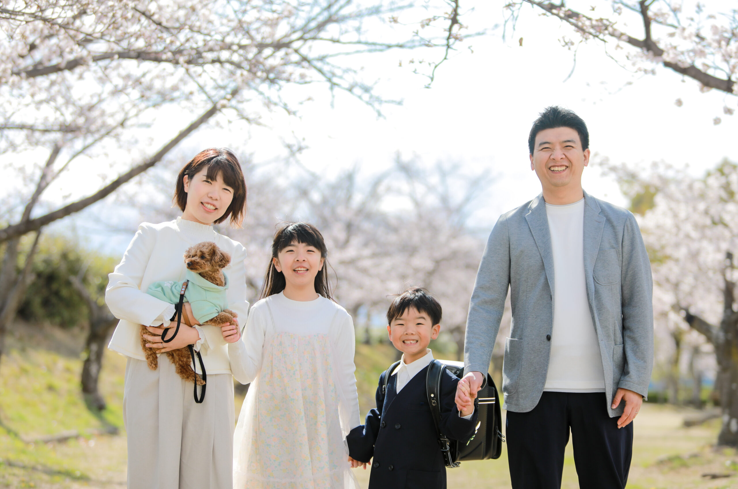 Reico photolife 伊丹市 出張撮影カメラマン ロケーション撮影 ファミリーフォト 入学撮影 レイコフォトライフ 家族写真 桜撮影 ランドセル