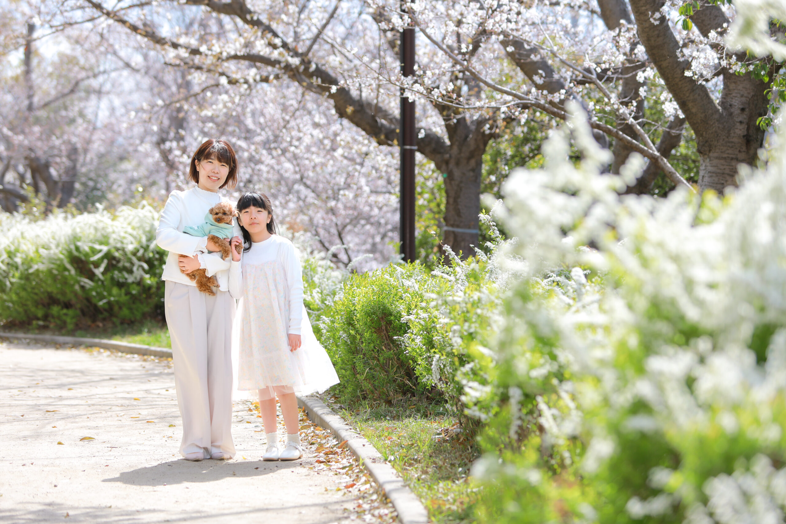Reico photolife 伊丹市 出張撮影カメラマン ロケーション撮影 ファミリーフォト 入学撮影 レイコフォトライフ 家族写真 桜撮影 ランドセル