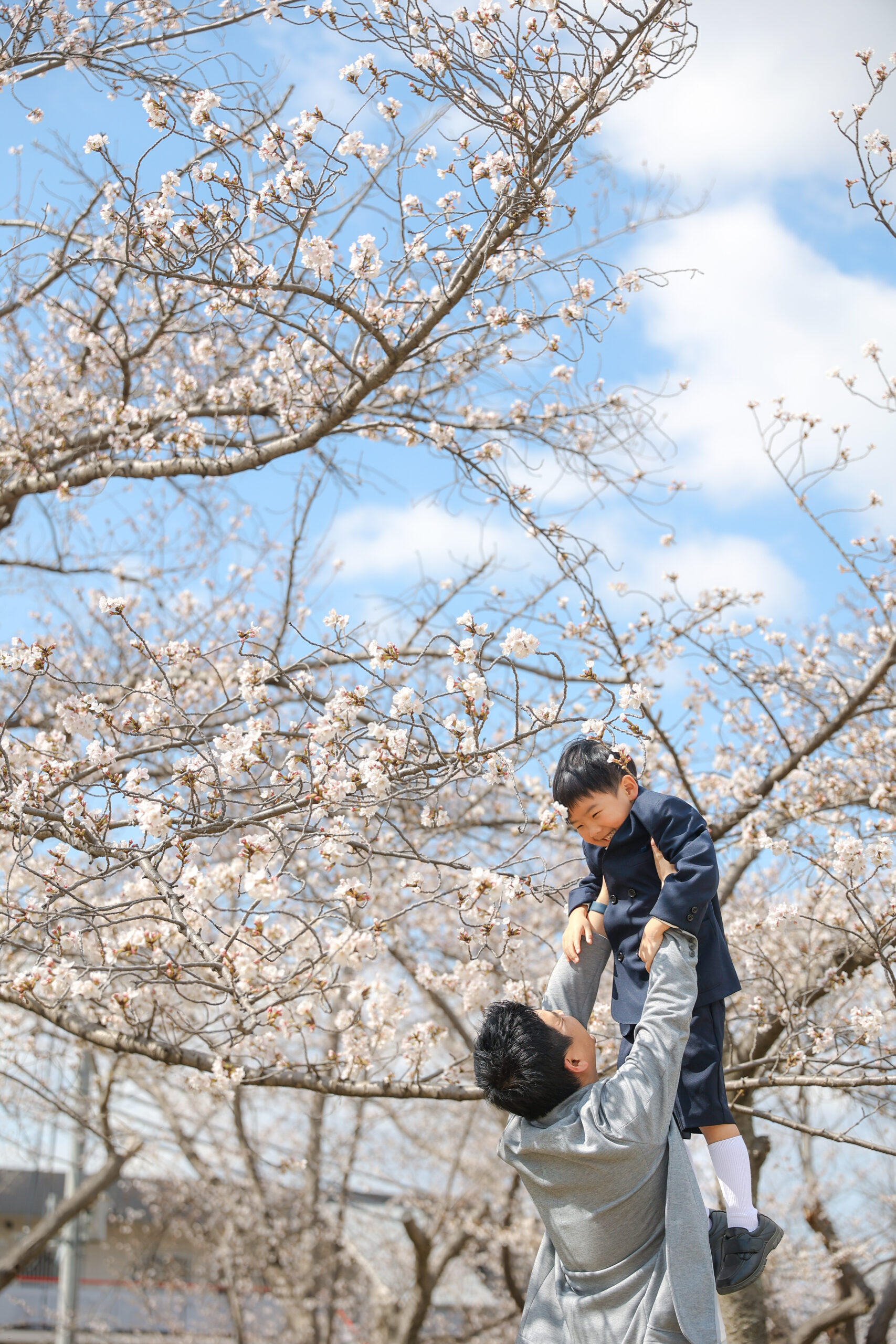 Reico photolife 伊丹市 出張撮影カメラマン ロケーション撮影 ファミリーフォト 入学撮影 レイコフォトライフ 家族写真 桜撮影 ランドセル