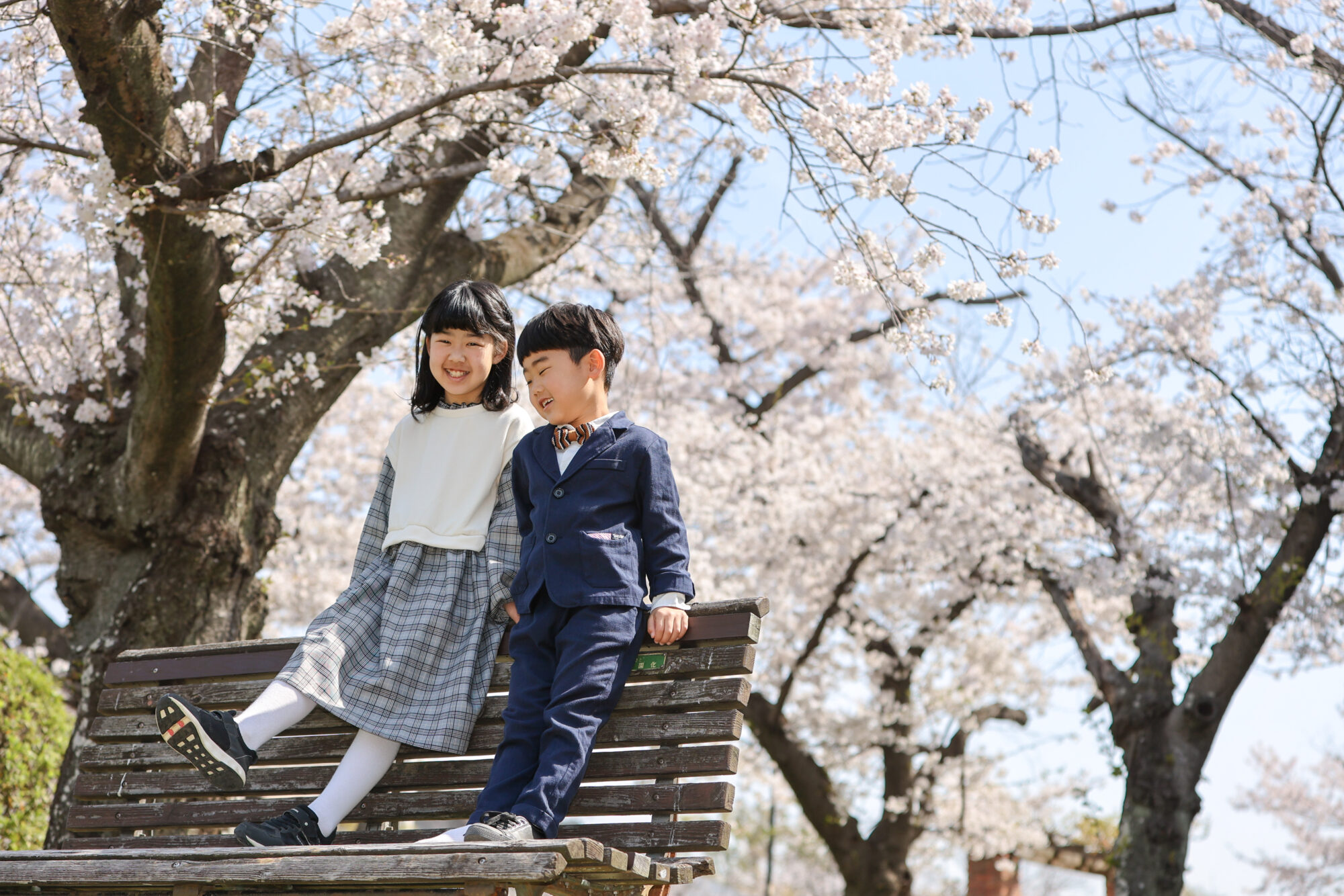Reico photolife 伊丹市　出張撮影カメラマン　ロケーション撮影　ファミリーフォト　入学撮影　レイコフォトライフ　家族写真　桜撮影　ランドセル