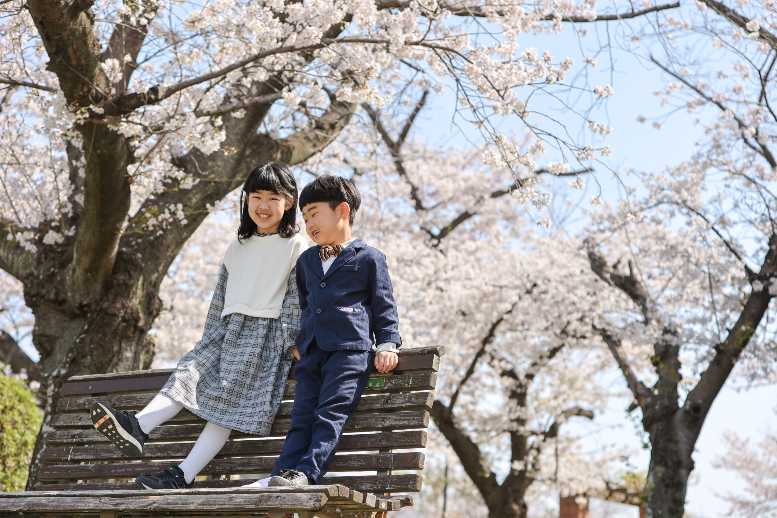 Reico photolife 伊丹市 出張撮影カメラマン ロケーション撮影 ファミリーフォト 入学撮影 レイコフォトライフ 家族写真 桜撮影 ランドセル