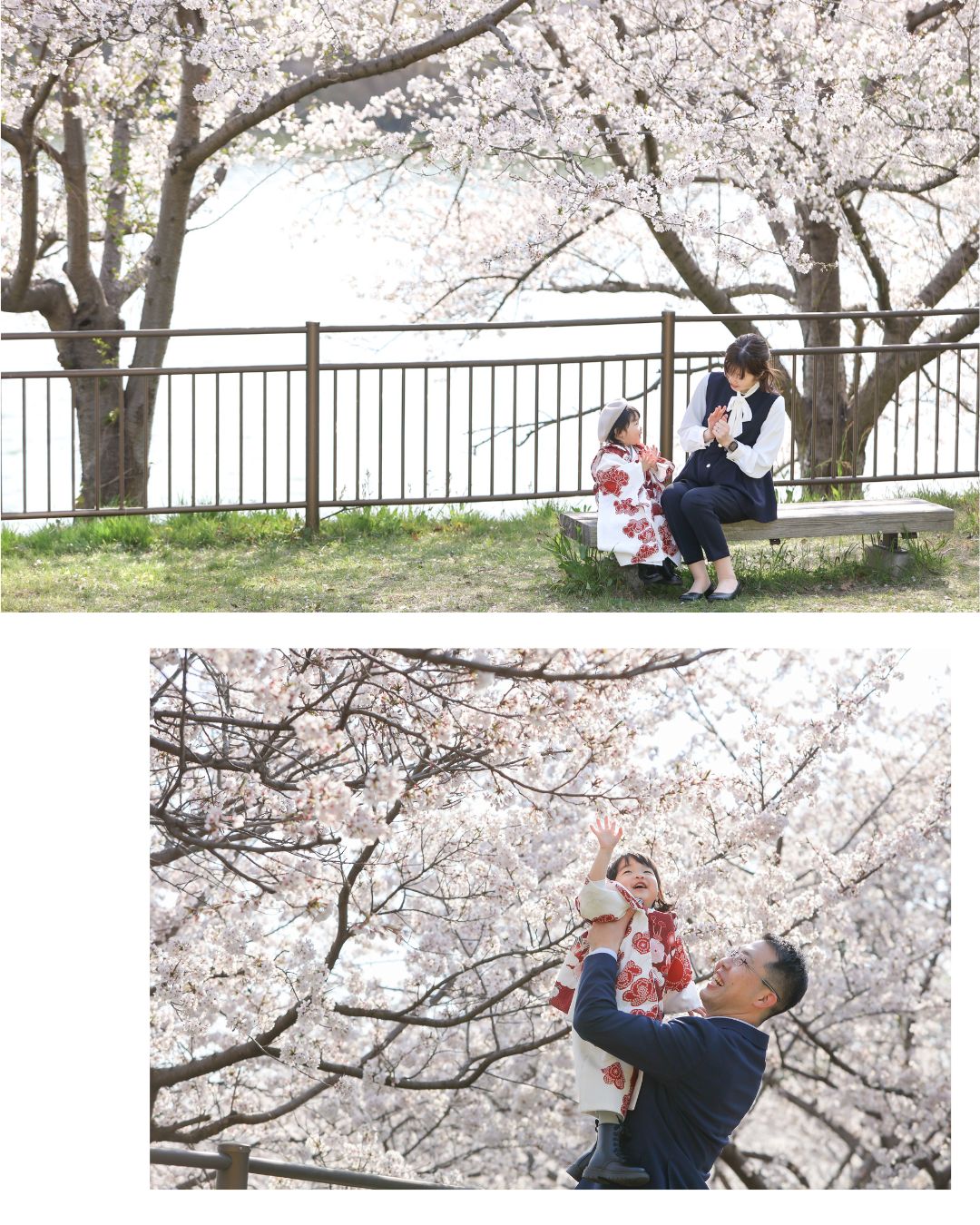 Reico photolife 伊丹市 出張撮影カメラマン ロケーション撮影 ファミリーフォト 入学撮影 レイコフォトライフ 家族写真 桜撮影 ランドセル