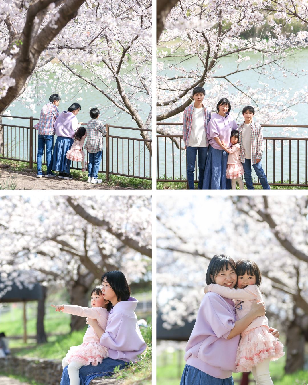 Reico photolife 伊丹市 出張撮影カメラマン ロケーション撮影 ファミリーフォト 入学撮影 レイコフォトライフ 家族写真 桜撮影 ランドセル