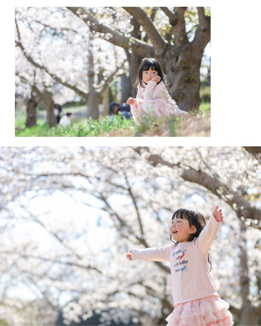 Reico photolife 伊丹市 出張撮影カメラマン ロケーション撮影 ファミリーフォト 入学撮影 レイコフォトライフ 家族写真 桜撮影 ランドセル