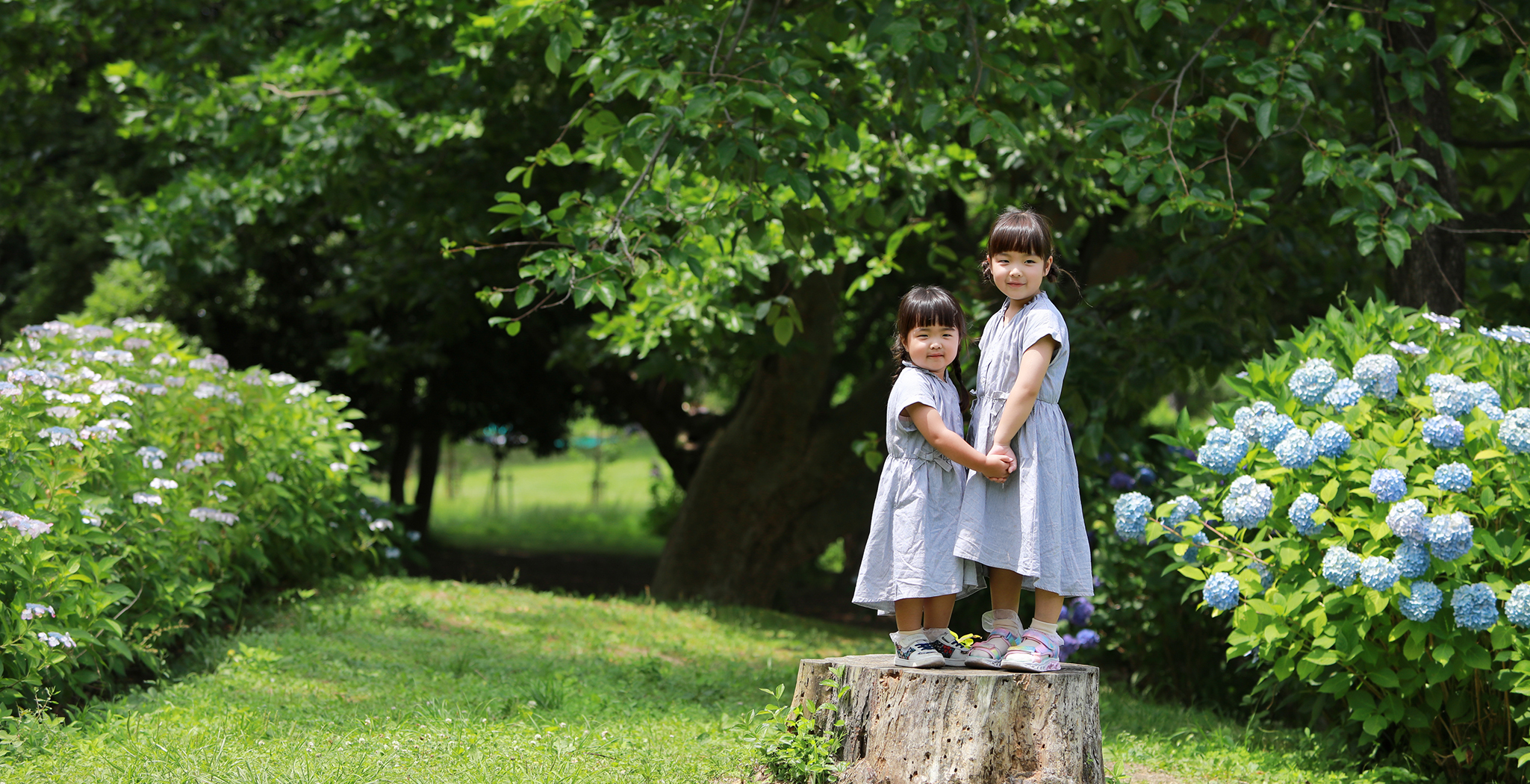 Reico photolife ロケーション撮影　出張撮影　紫陽花撮影　カメラマン　レイコフォトライフ　家族写真