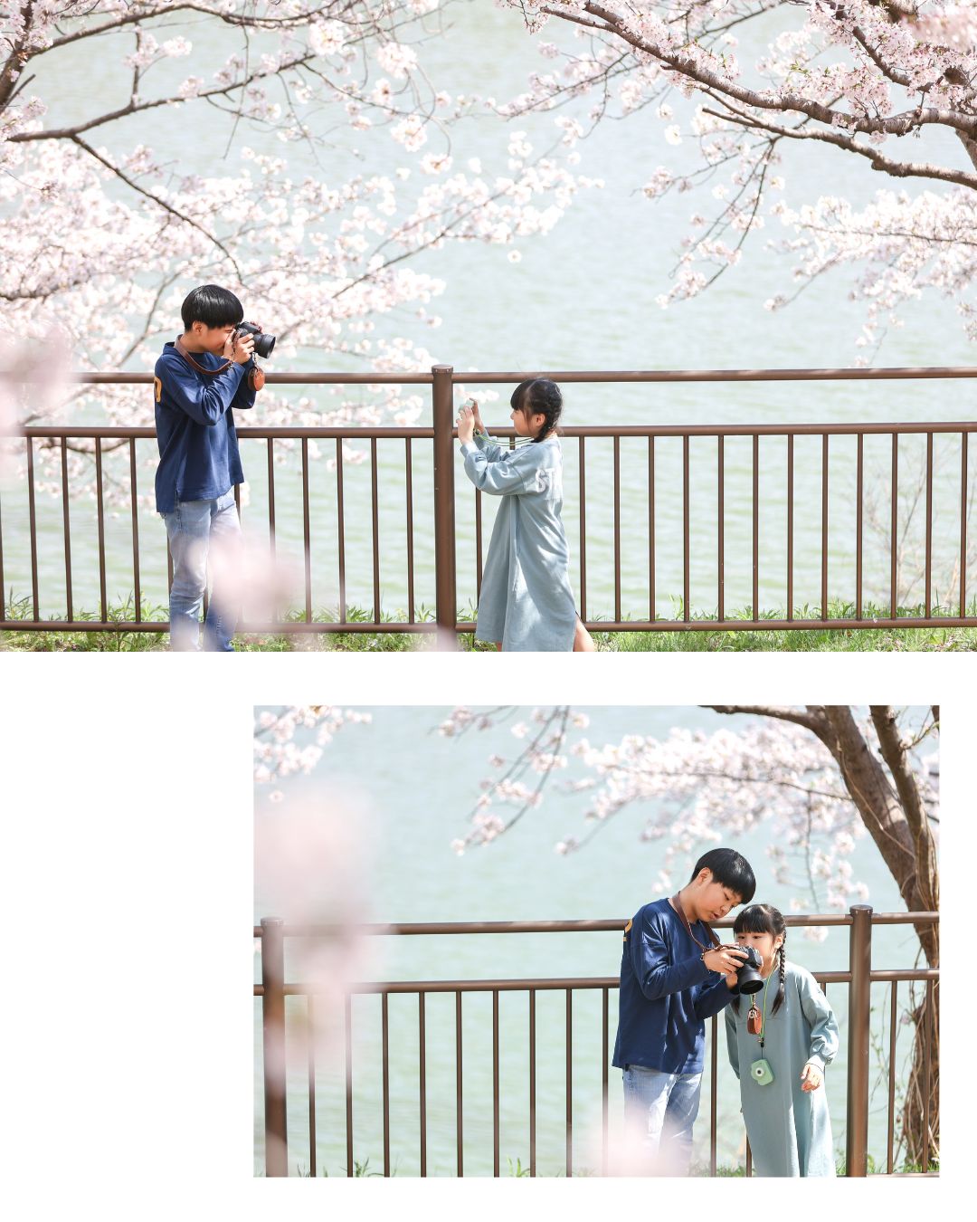 Reico photolife 伊丹市 出張撮影カメラマン ロケーション撮影 ファミリーフォト 入学撮影 レイコフォトライフ 家族写真 桜撮影 ランドセル
